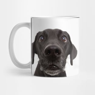 Funny Cute Dog Face Gift Mug